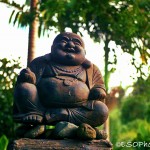 Laughing Buddha